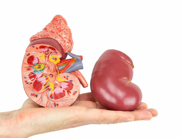 每吃一次肾坏死加速?提醒这3种食物是肾“杀手” 每吃一次肾坏死加速?提醒这3种食物是肾“杀手”