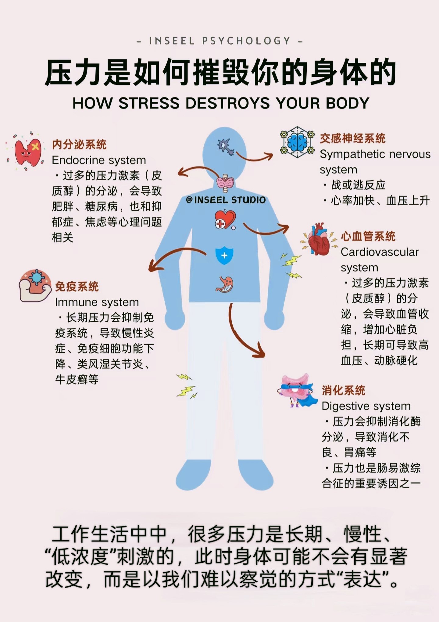 压力是如何摧毁你的身体的