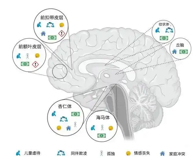 吃苦对大脑的影响2